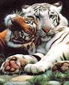 exotic animals