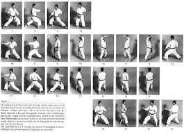 Image result for HEIWA SHOTOKAN KARATE CLUB