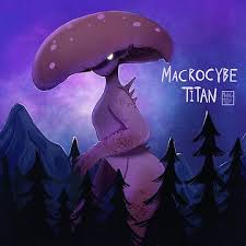 Image result for macrocybe titans