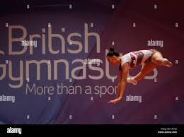 Image result for Bulmershe Gymnastics Club