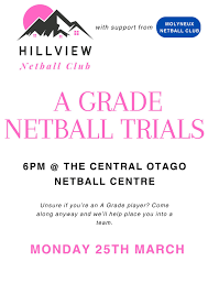 Image result for Molineux Netball Club