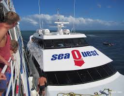 Image result for Seaquest Divers