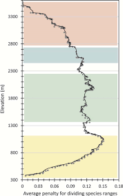 Attēlu rezultāti vaicājumam “Eurhynchiastrum pulchellum macro”
