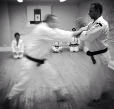 Image result for Harrow Shorinji Kempo
