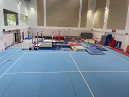 Image result for Rathgael Gymnastics and Trampolining Club