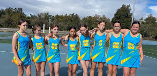 Image result for Comets Netball Club
