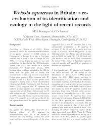 Attēlu rezultāti vaicājumam “Weissia squarrosa”