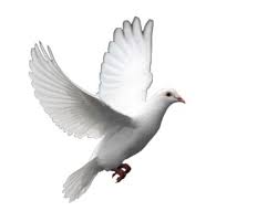 Inspiring Bible Quotes
