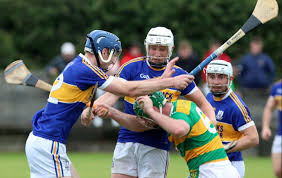 Image result for Sean Treacy`s Hurling Club