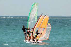 Image result for Aloha Sailboards