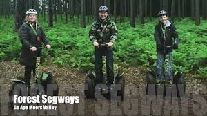 Image result for Go Ape! Moors Valley