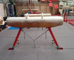 Image result for Huntingdon Olympic Gym Club