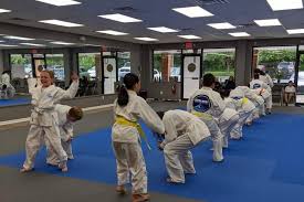Image result for Martial Arts New Jersey