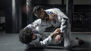 Image result for Brazilian-martial arts