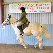 Image result for Thames Valley Riding Club