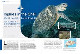 Image result for Exdive