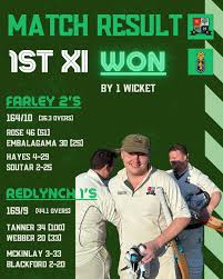 Image result for Redlynch and Hale Cricket Club