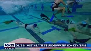 Image result for FXU Underwater Hockey