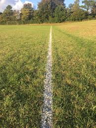 Image result for Warren Mead Fc