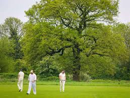 Image result for Ransome & Marles Cricket Club
