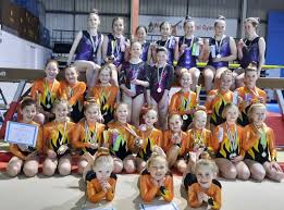Image result for Kestrel Gymnastic Group