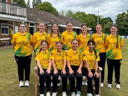 Image result for Knowle Cricket Club