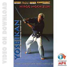 Image result for Yoseikan Budo England