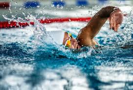 Image result for SwimSwansea