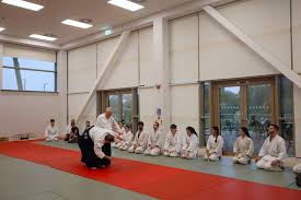 Image result for Bakewell Aikido Club