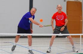 Image result for Great Ashby Badminton Club