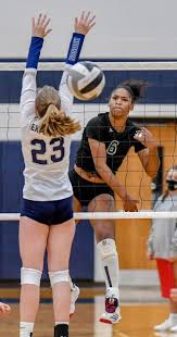 Image result for Beacon Volleyball Club