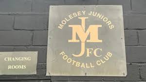Image result for Molesey Juniors Football Club