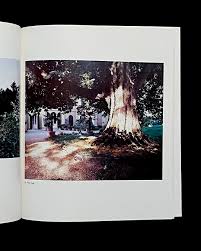 Image result for john batho