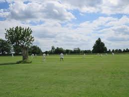 Image result for Newton Cricket Club