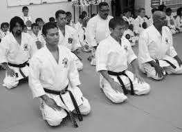 Image result for Shotokan Karate