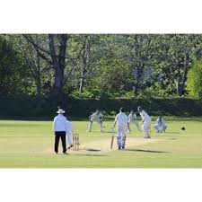 Image result for Weirs Cricket Club