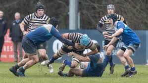 Image result for Portadown Rugby Football Club