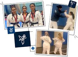 Image result for Windsor Karate Club