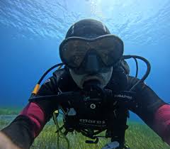 Image result for Seabug Divers