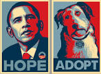 Over Obama Dog Decision