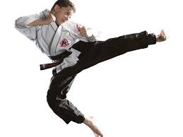 Image result for National Forest Taekwon-do