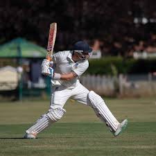 Image result for Pulborough Cricket Club