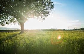 Image result for wetter