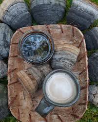 Attēlu rezultāti vaicājumam “Fomes fomentarius”