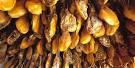 Spain's Millennial High-Performance Fare: SERRANO Ham | Worlds of ...