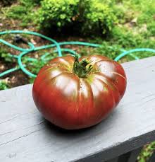 Afbeeldingsresultaat voor dark purple beefsteak tomato