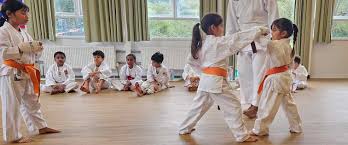 Image result for Alleyn School Of Japanese Karate