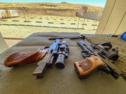 Image result for Property Gun and Punt Club