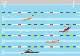 Image result for Swimming