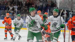 Image result for Basingstoke Bison Ice Hockey Club